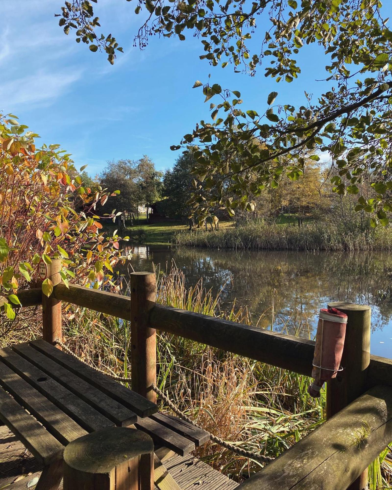 Hazel Oaks, Beautiful Lodge With Hot Tub - Sleeps 6 - Felmoor Park Morpeth Eksteriør billede